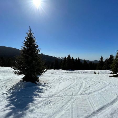 Kopaonik -Beautiful View Apartment- Skiing Esterno foto