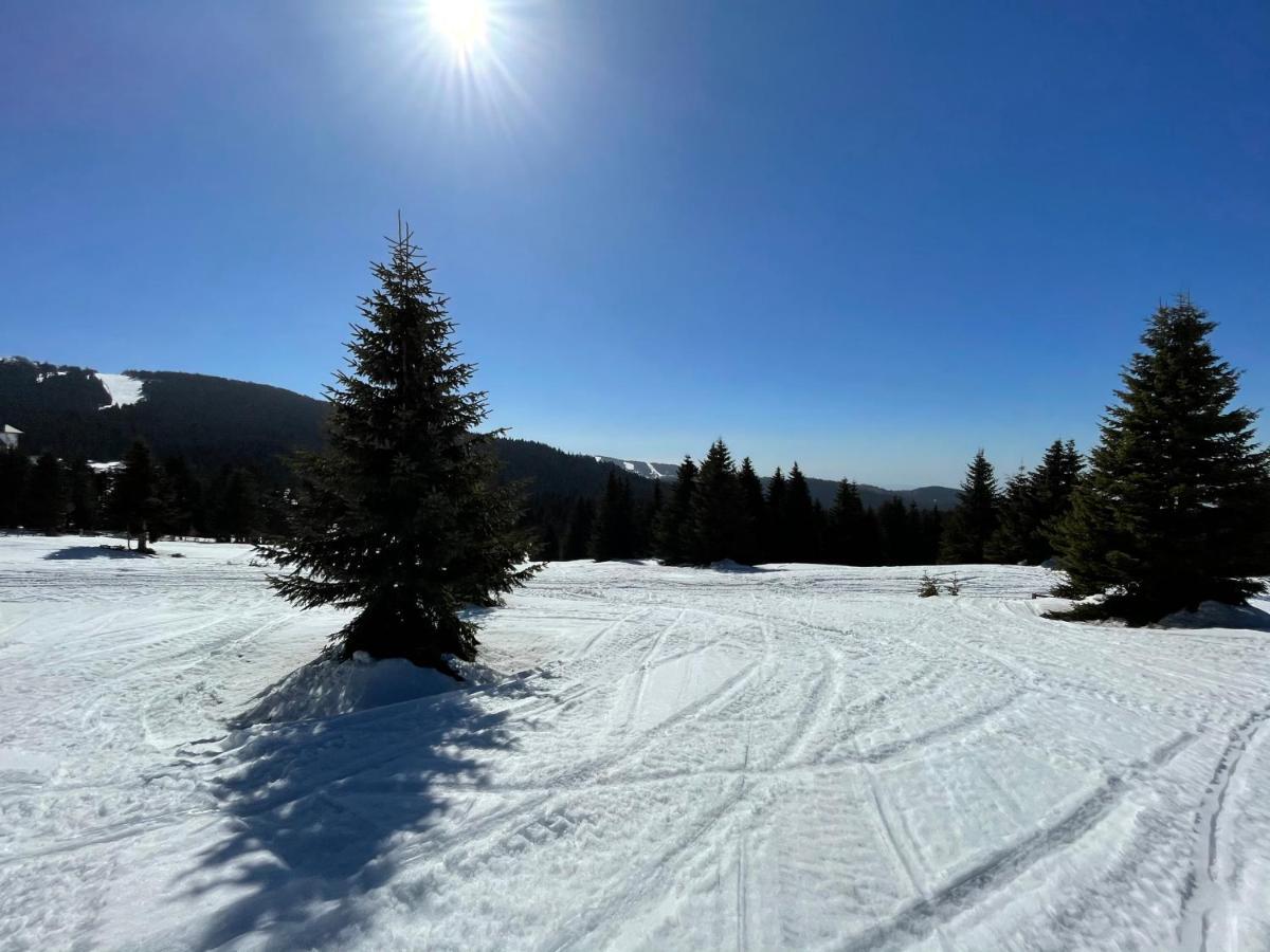 Kopaonik -Beautiful View Apartment- Skiing Esterno foto
